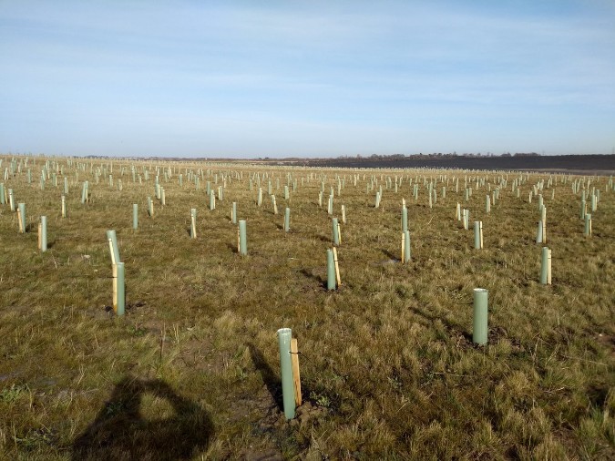 Green-tech protect 29,500 newly planted trees to restore land and enhance biodiversity at East Midlands quarry