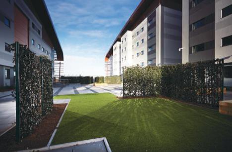 Green-tech supplies Green-tree topsoil in North East’s £150m Trinity Square Project                 
