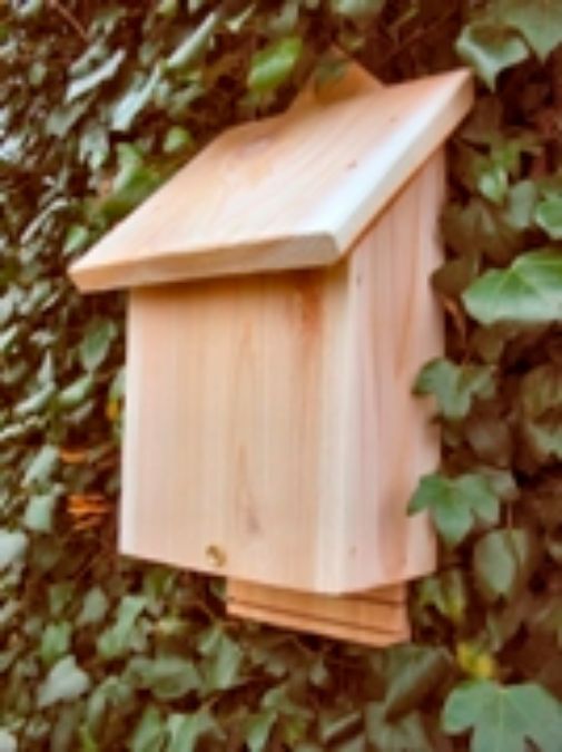 John Chambers Wildflower Seed launches conservation range of Bat Boxes