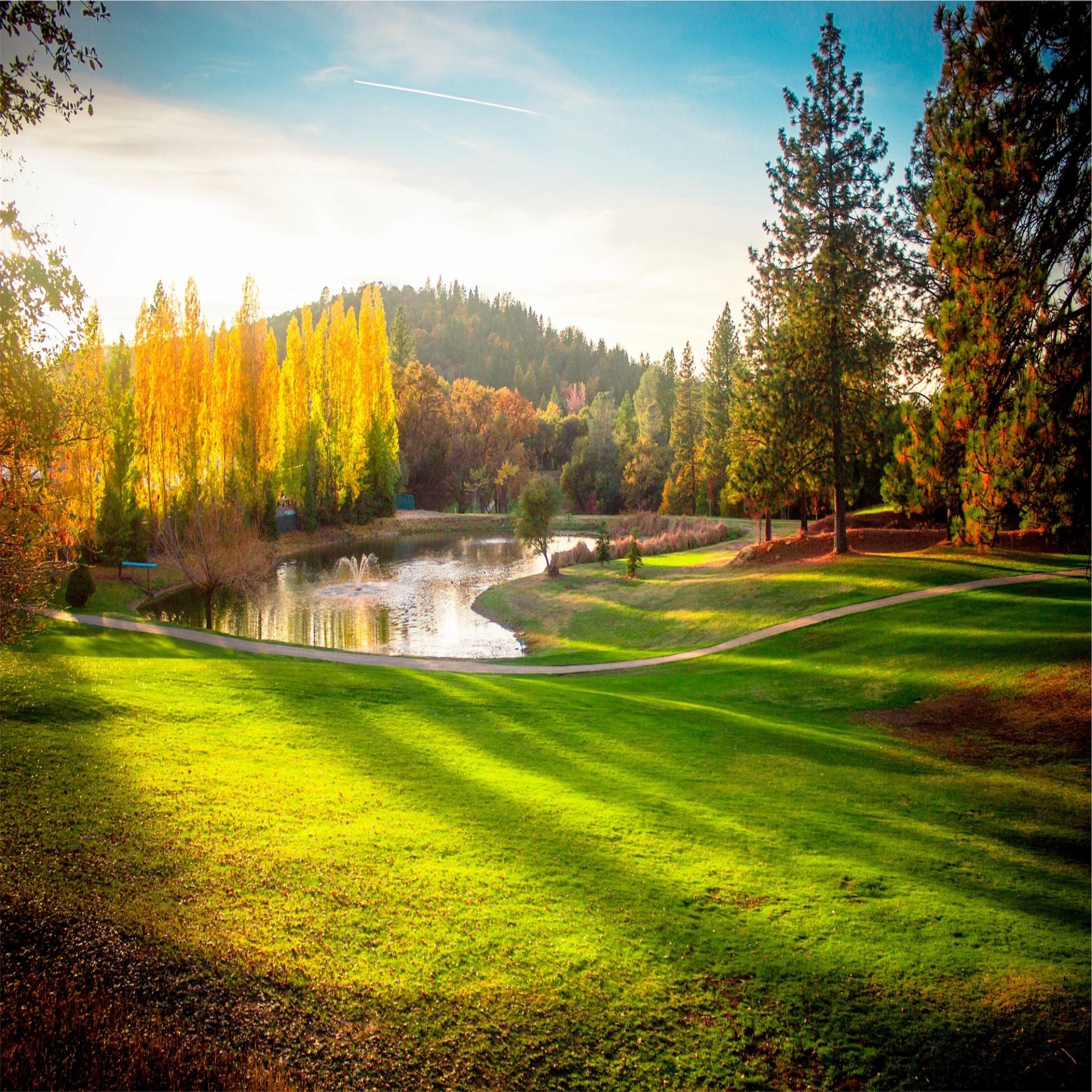 Fall grass seed deals