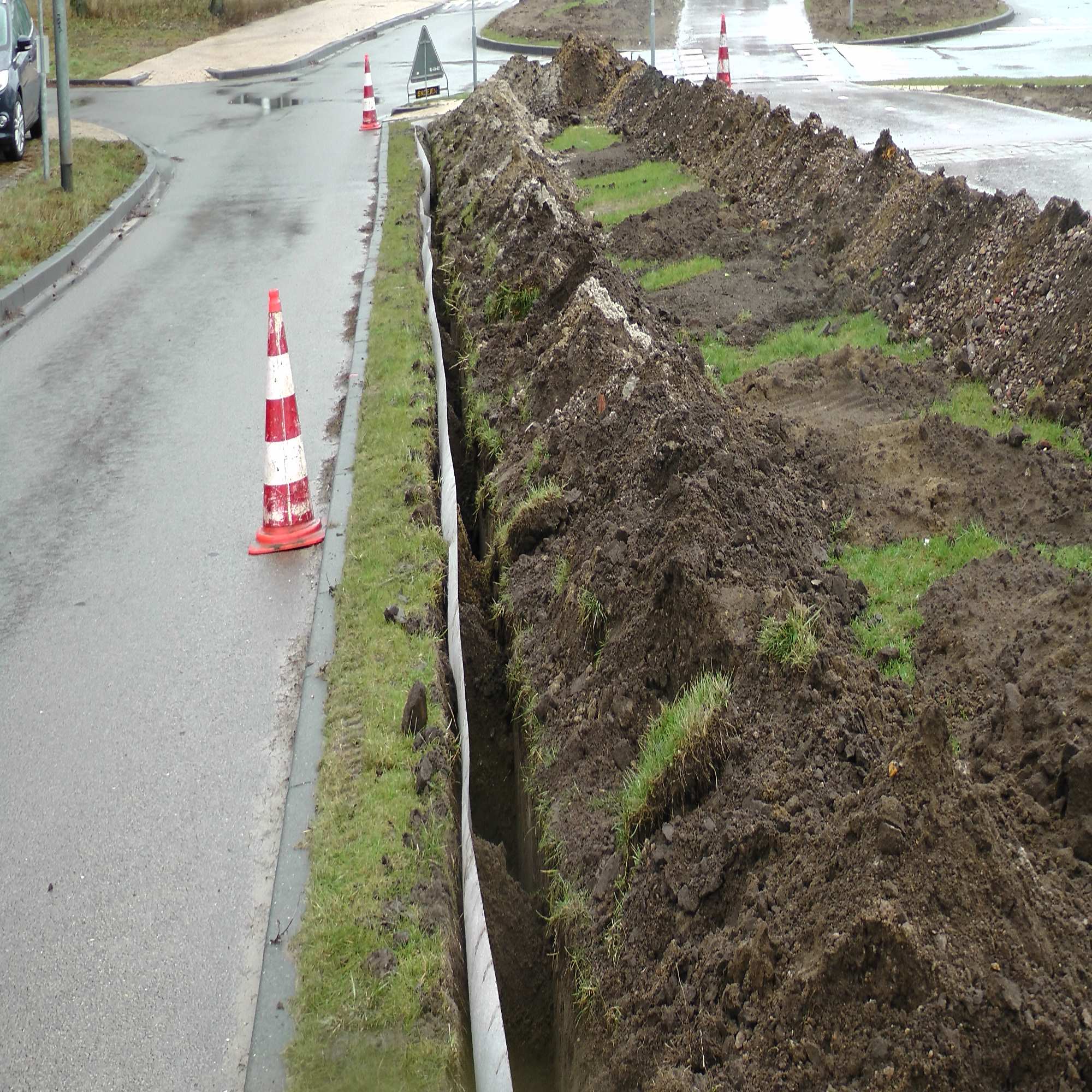 Tree Pit Root Barriers