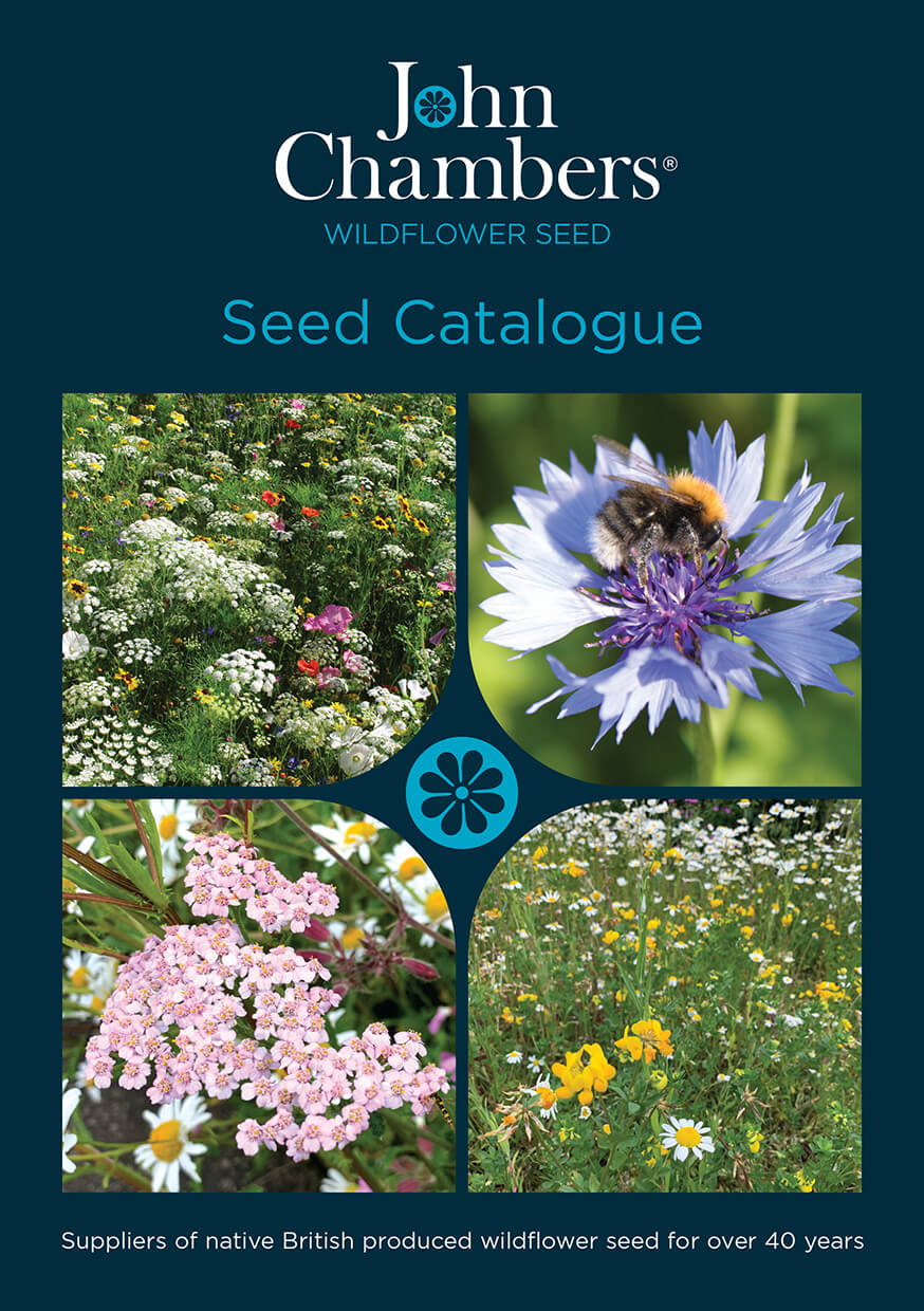 John Chambers Wildflowers Seed Brochure 