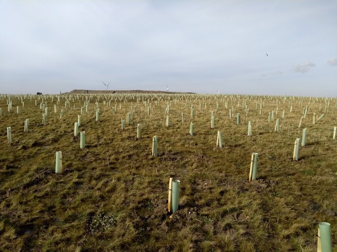 Green-tech protect 29,500 newly planted trees to restore land and enhance biodiversity