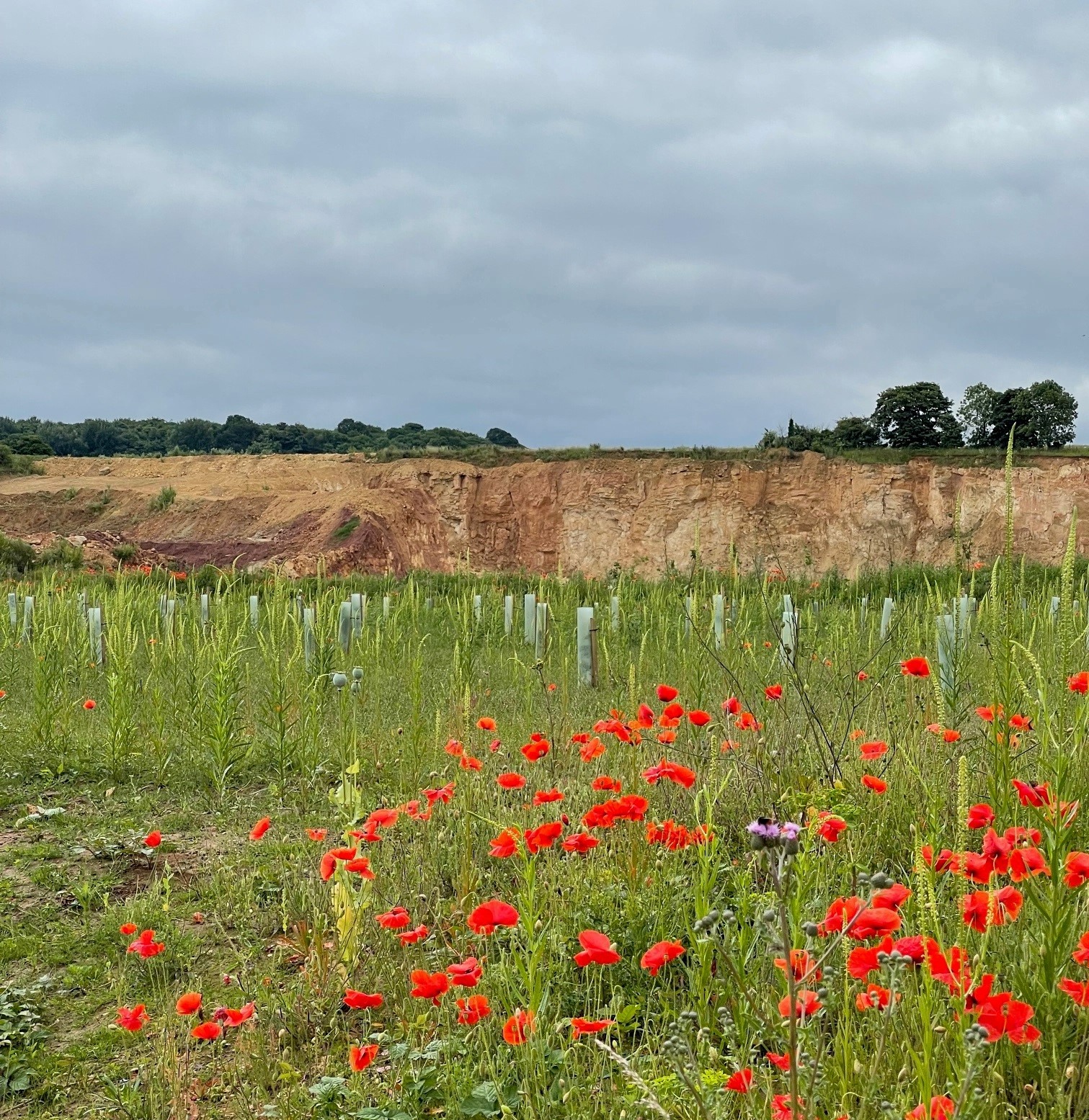 Green-tech supply large-scale restoration project at a Yorkshire limestone quarry.