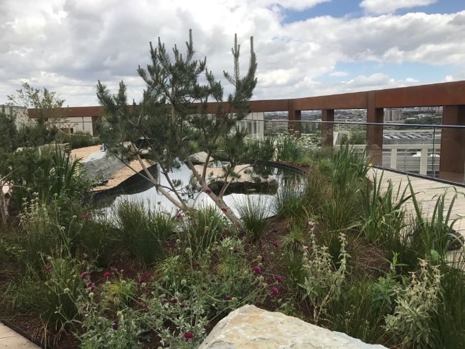 Green-tech supply roof garden materials to  Four Pancras Square, King’s Cross                                                                                                                                                                                                                                                                                                                                                                                                                                       