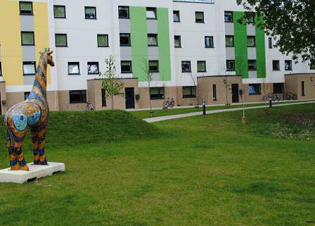 Green-tree topsoil supplied to University of Essex                                                                                                                                                                                                                                                                                                                                                                                                                                                                  