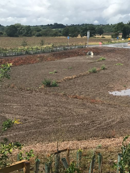​Green-tree supplies new bespoke soil for Rain Gardens                                                                                                                                                                                                                                                                                                                                                                                                                                                              