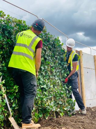 Green Screens installed on new housing estate provides instant impact