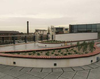 Green-tree Roof Garden Substrate reaches new heights in York                                        