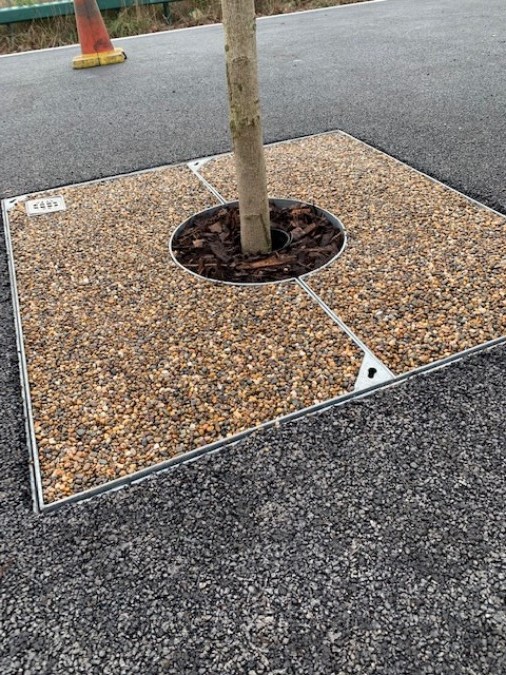 Green-tech Supply Urban Tree Planting Materials for Manchester Traffic Island 