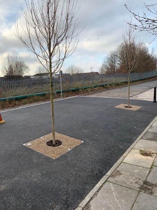 Green-tech Supply Urban Tree Planting Materials for Manchester Traffic Island 