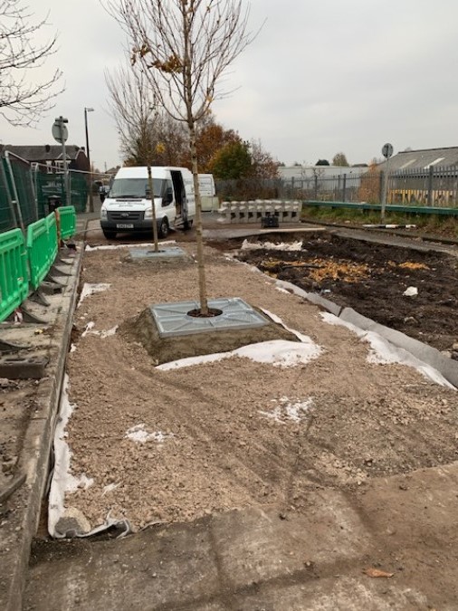 Green-tech Supply Urban Tree Planting Materials for Manchester Traffic Island 