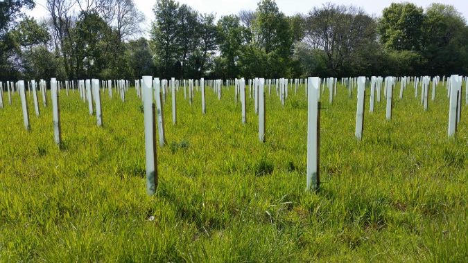 Green-tech supply materials for woodland creation project in Hampshire