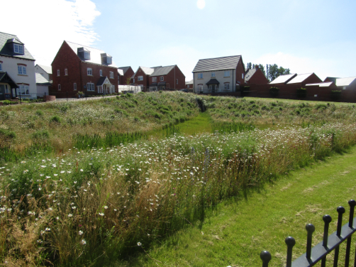 John Chambers Wildflower Matting supplied for Balancing Pond on new Bellway Homes Site