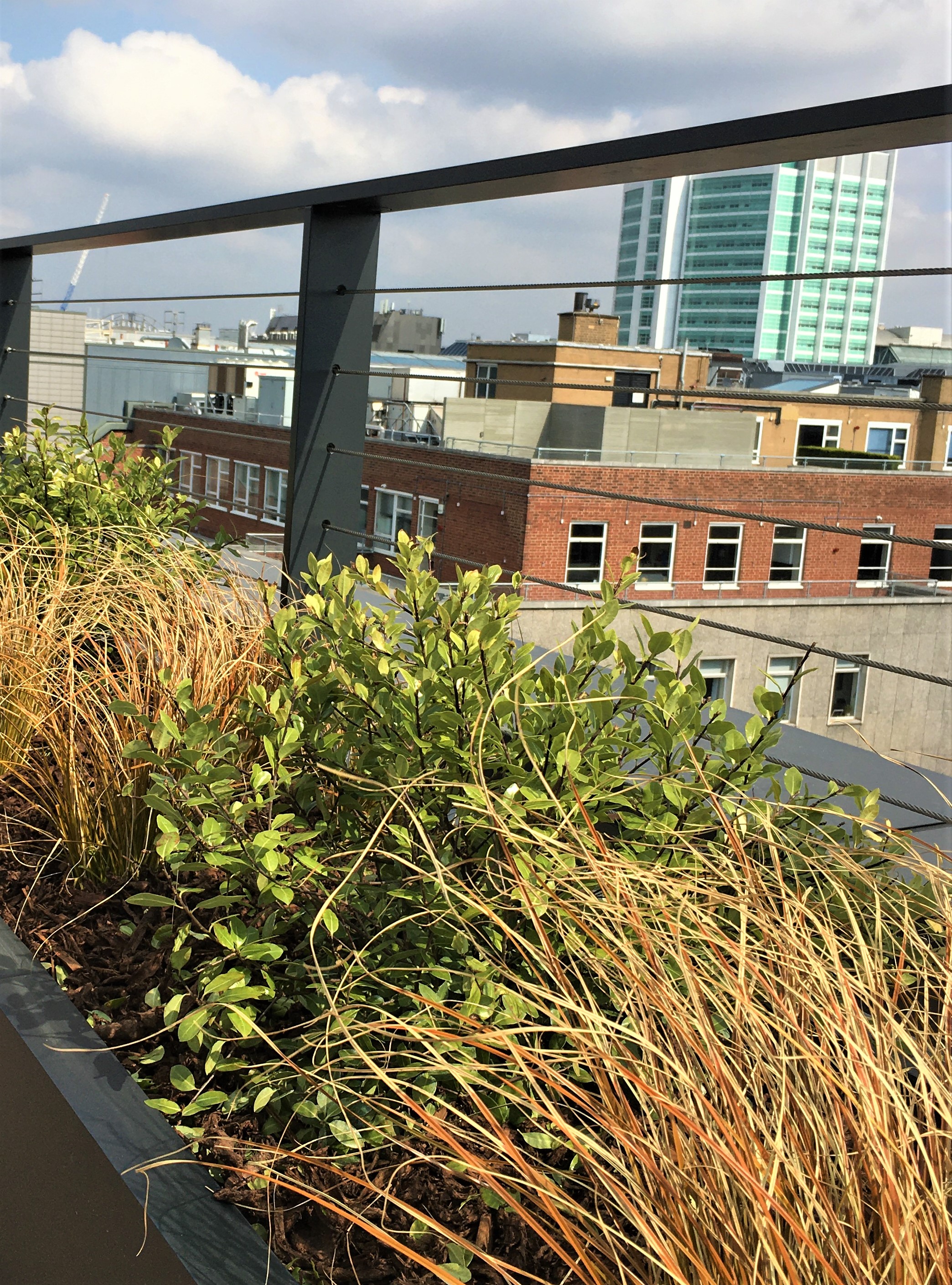 Green-tech provides irrigation solution for rooftop planting scheme Background:
