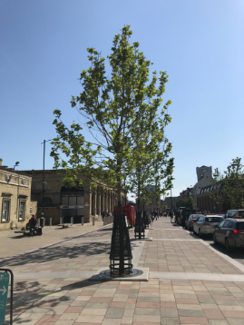 ArborRaft - the tree planting solution for One The Square, Cambridge      