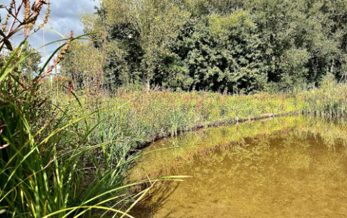 Green-tech products incorporated into Derbyshire flood scheme