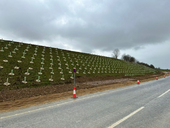 Green-tech's Contributes to Grantham Relief Road Landscaping
