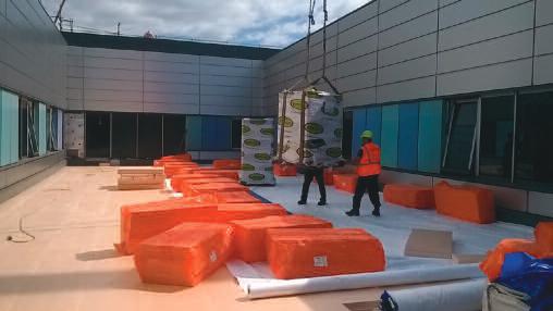 green-roof-queen-elizabeth-hospital.jpg