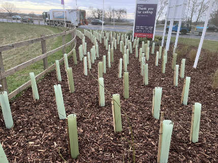 Green-tech supply materials for Taylor Wimpey SuDS Scheme