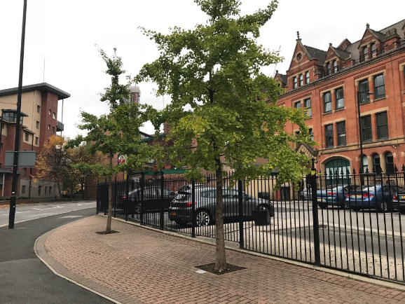 Arborraft being installed in Chepstow Street, Manchester                                                                                                                                                                                                                                                                                                                                                                                                                                                            