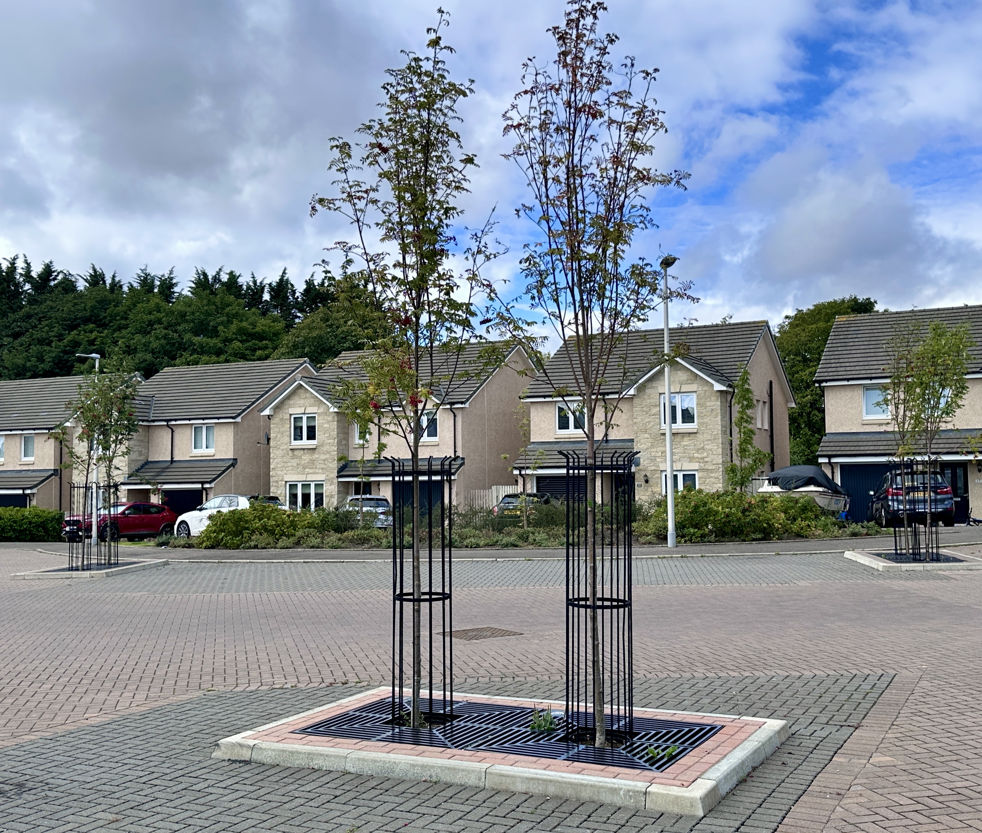 Green-tech aids increase in biodiversity and water management of new homes project