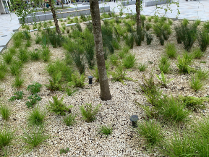 Green-tech Supply Bio Retention Soil for Plymouth City Centre 