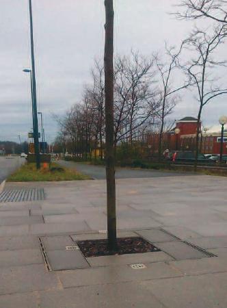 tree-grilles-telford-box-road.jpg