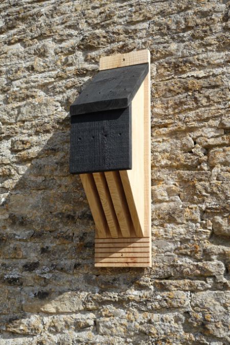 John Chambers Wildflower Seed launches conservation range of Bat Boxes