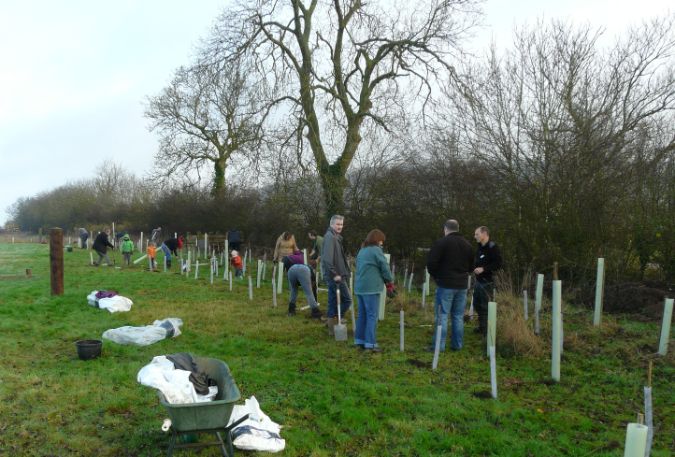 Volunteers-tree-planting-at-Sun-Rising.jpg