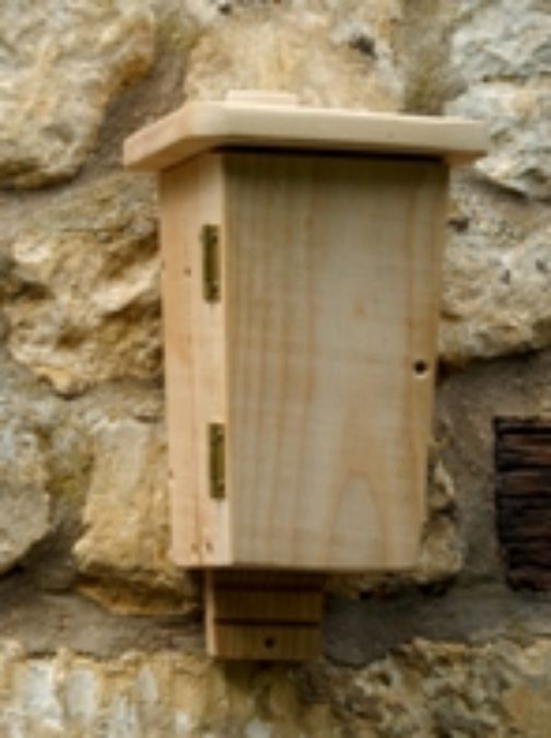 John Chambers Wildflower Seed launches conservation range of Bat Boxes