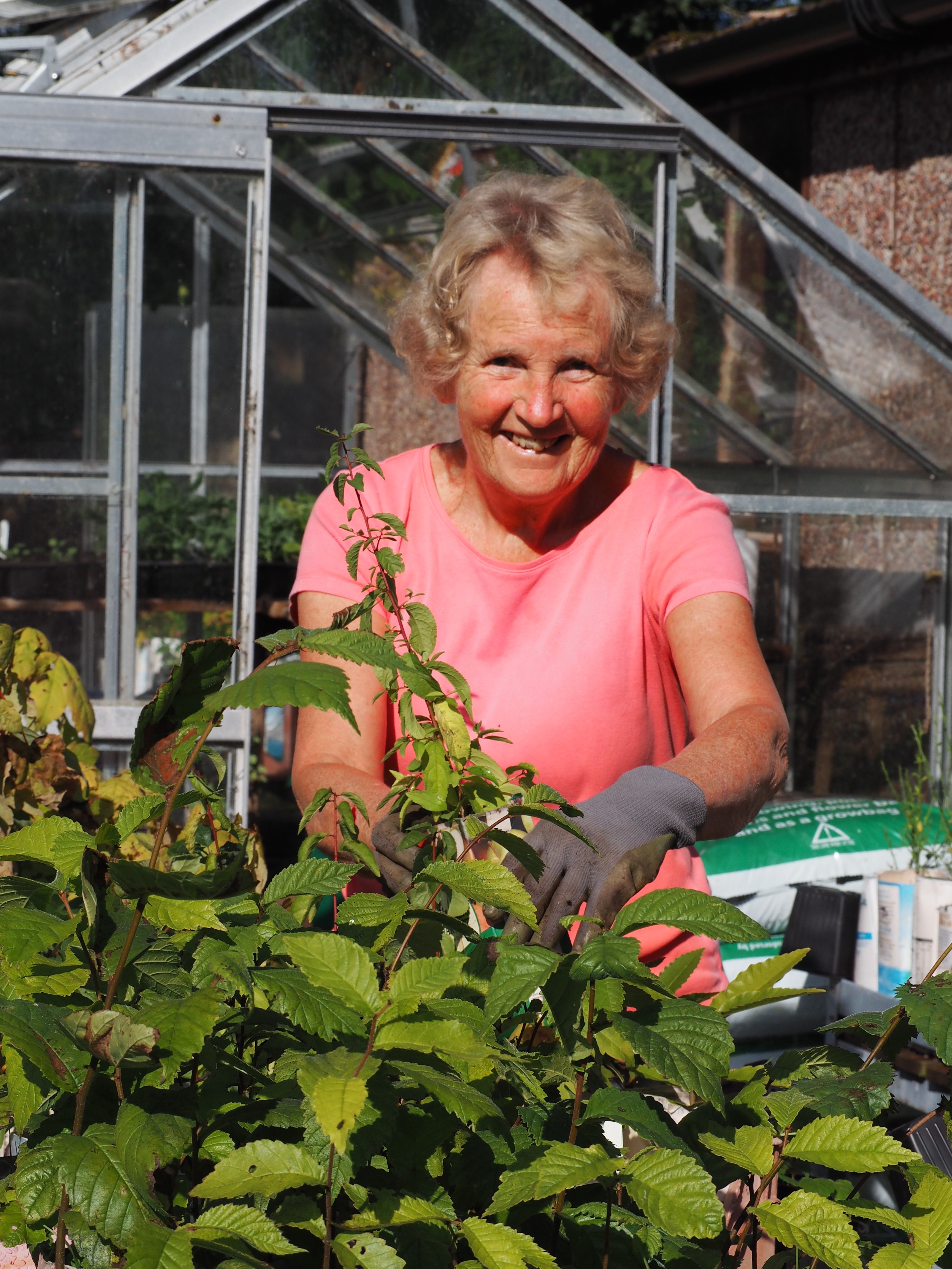 Green-tech helps grandmother achieve goal of growing 5000 trees by the time she is 85 years old!