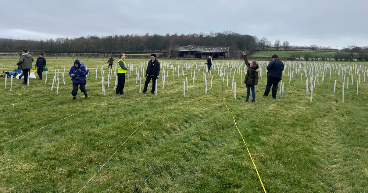 Green-tech Supports the Gair Wood Woodland Creation Project in Leeds