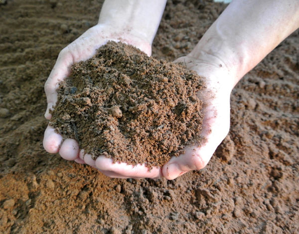 Green-tech Donates Green-tree Soil Substrate to RHS Chelsea Flower Show Gold Medal-winning Garden