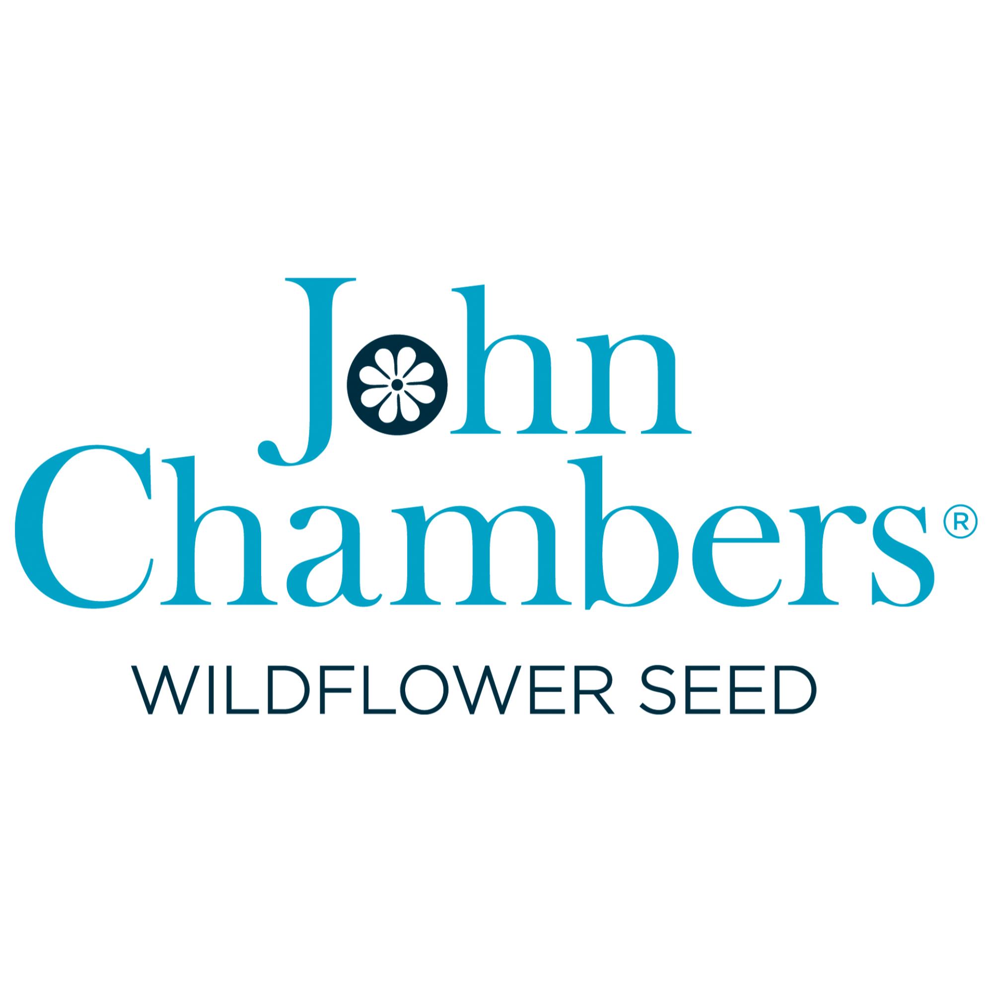 John Chambers Wildflowers