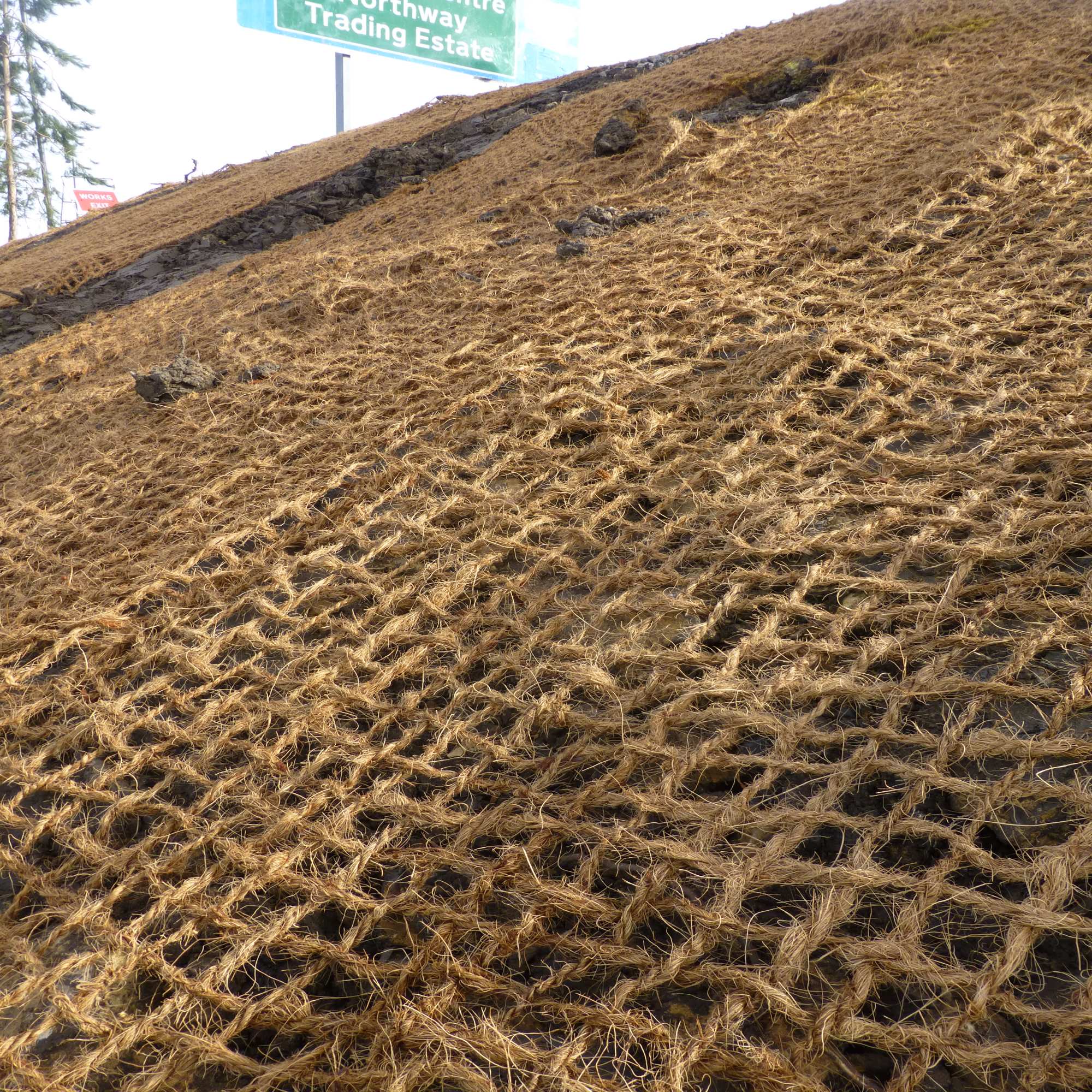 Erosion Control