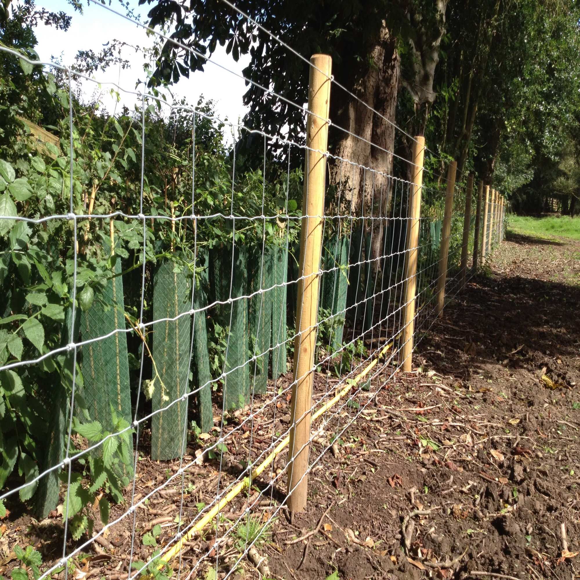 Agricultural Fencing