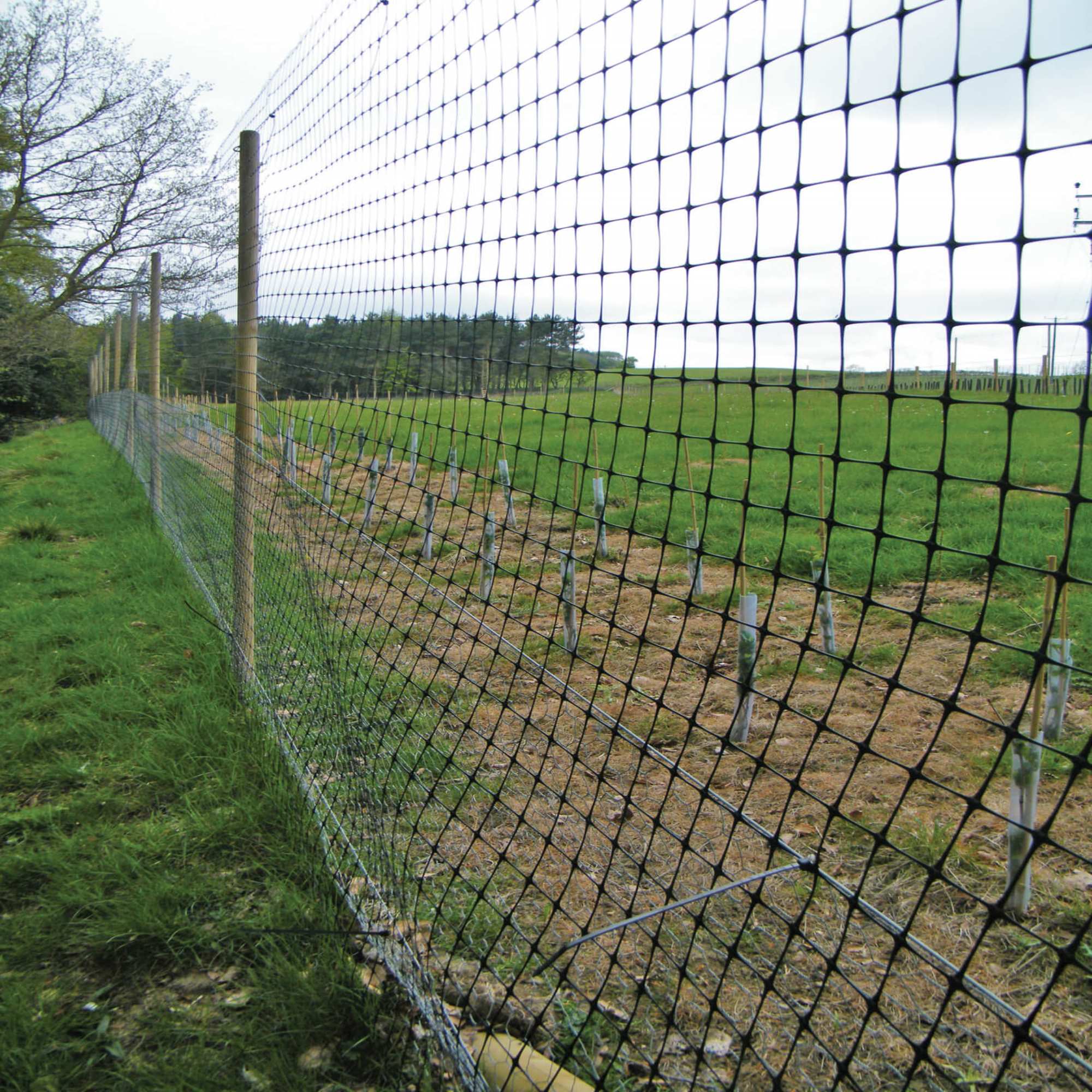 Deer Deterrent Fencing - Agricultural Fencing