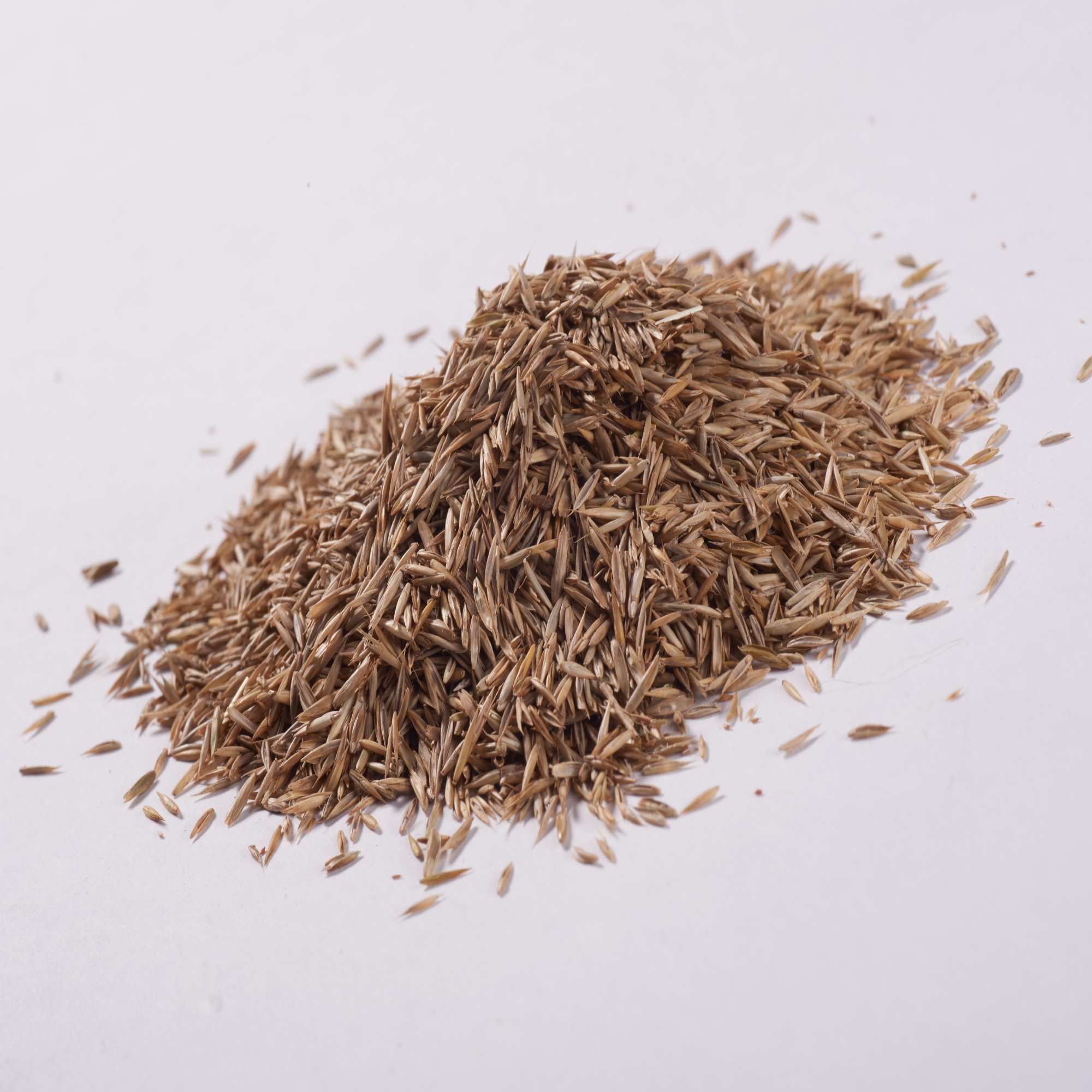 Grass Seed