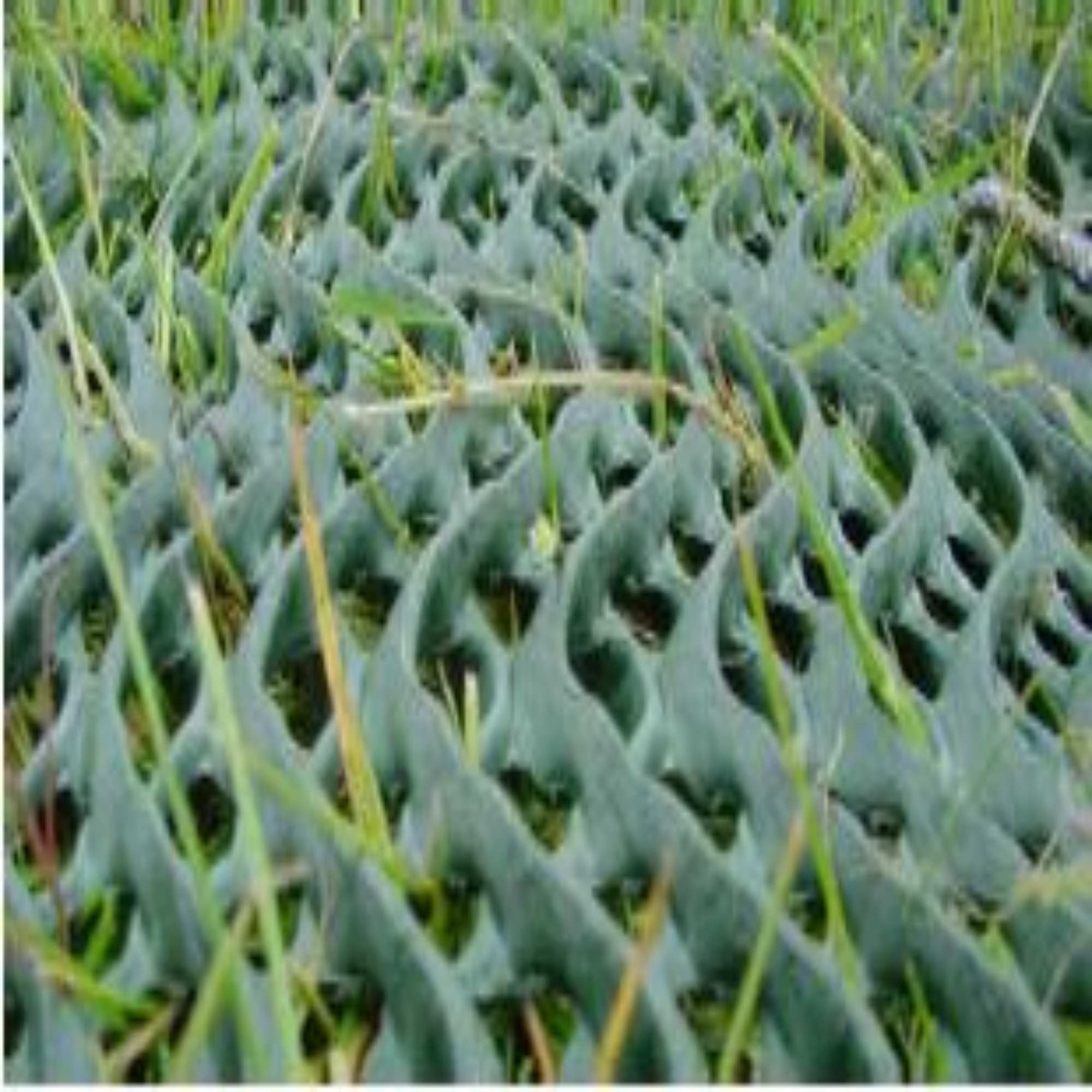 Grass Reinforcement Protection Mesh