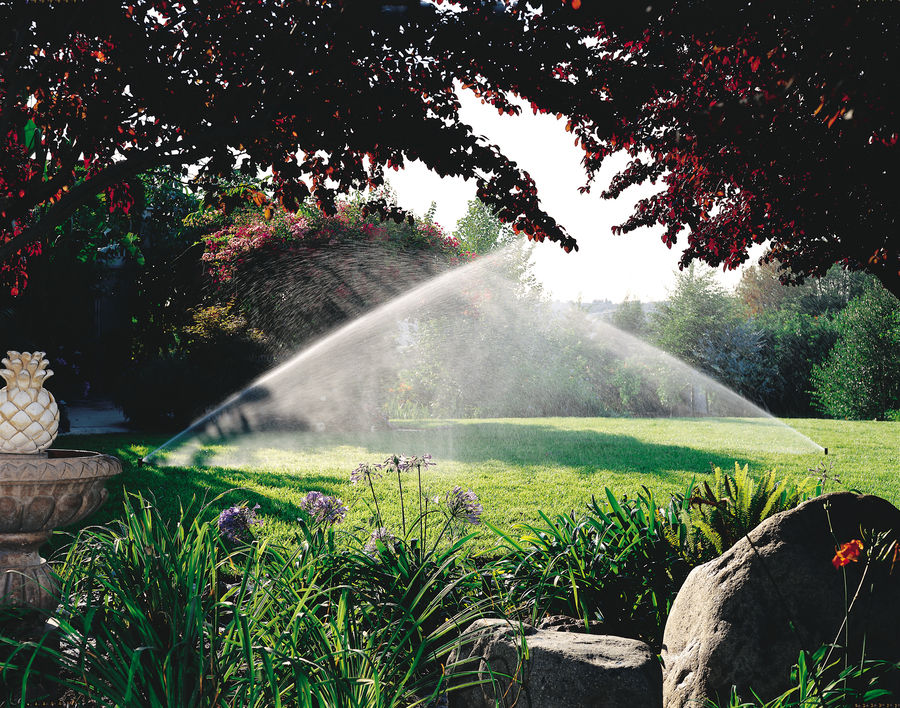 Rain Bird Watering Irrigation Systems