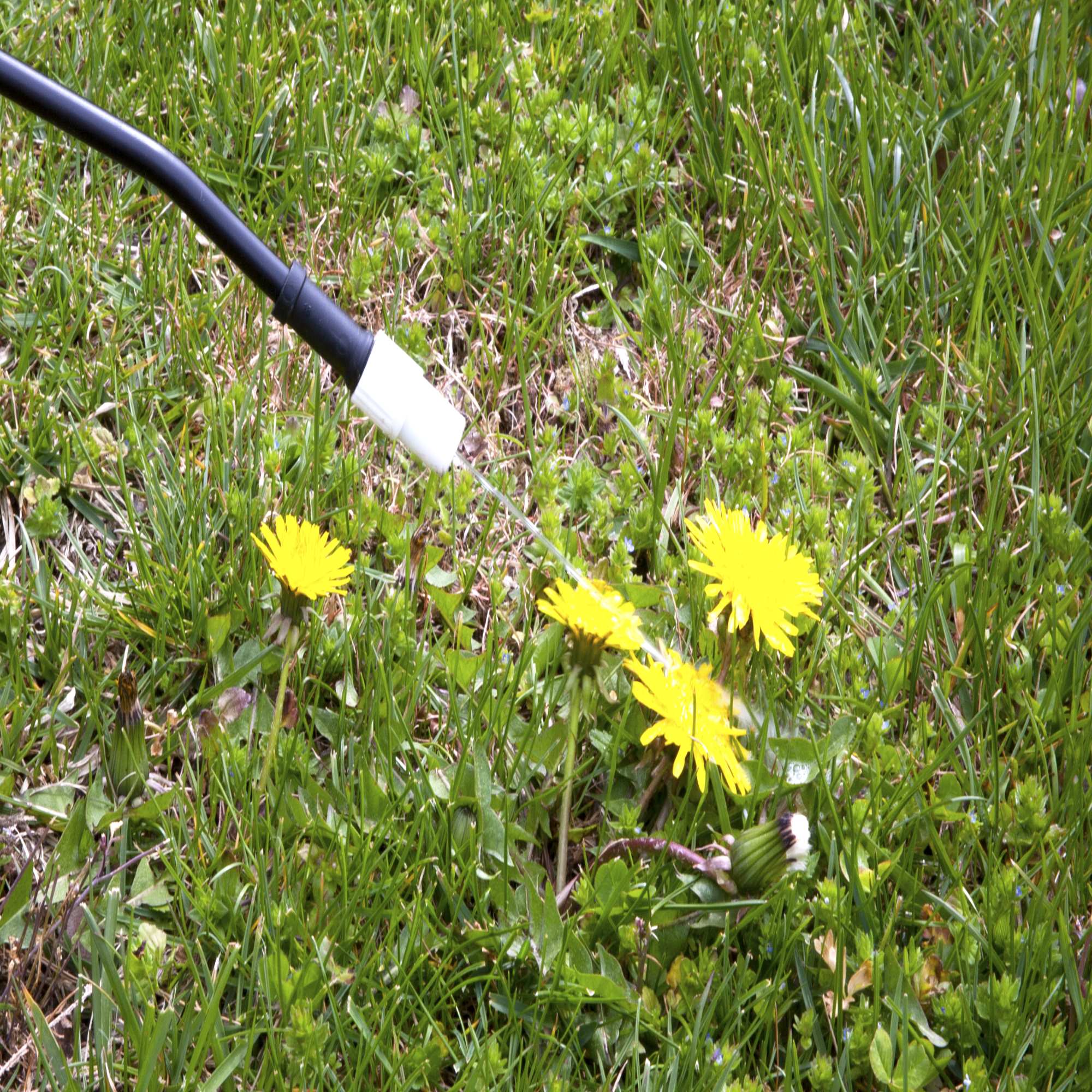 Total Weed Control