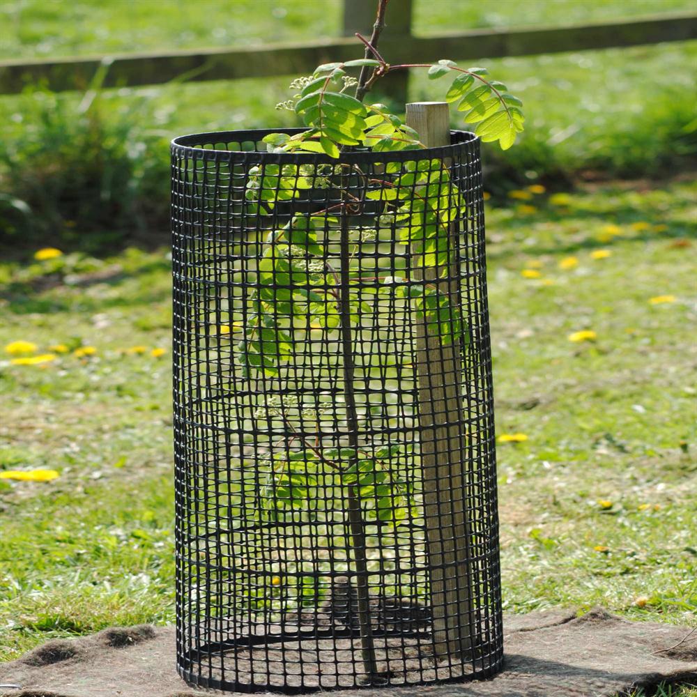 Mesh Tree Guard Shelters and Stake Packages Tree Protection