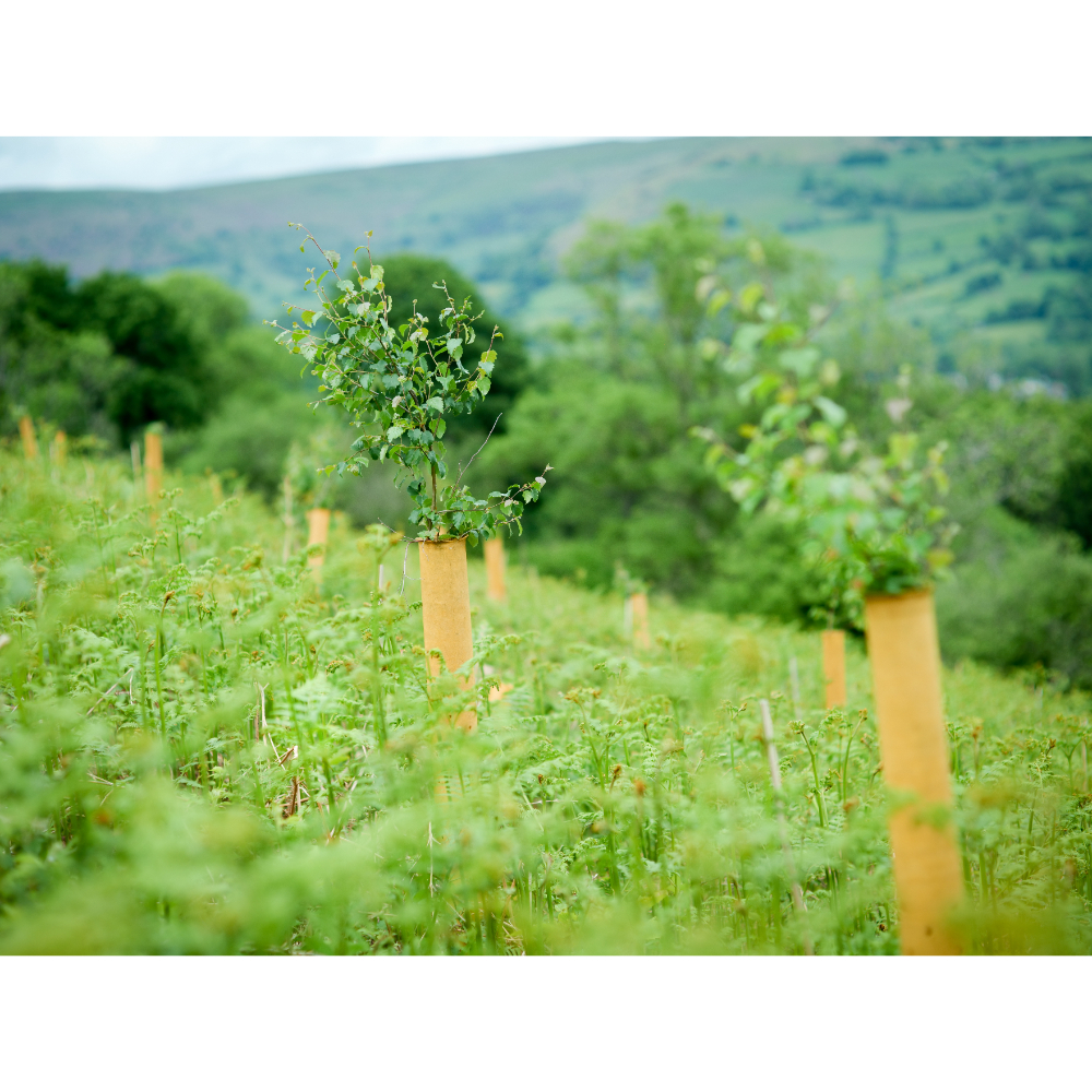 Green-tech announces the addition of 100% biodegradable NexGen Tree Shelters to its range