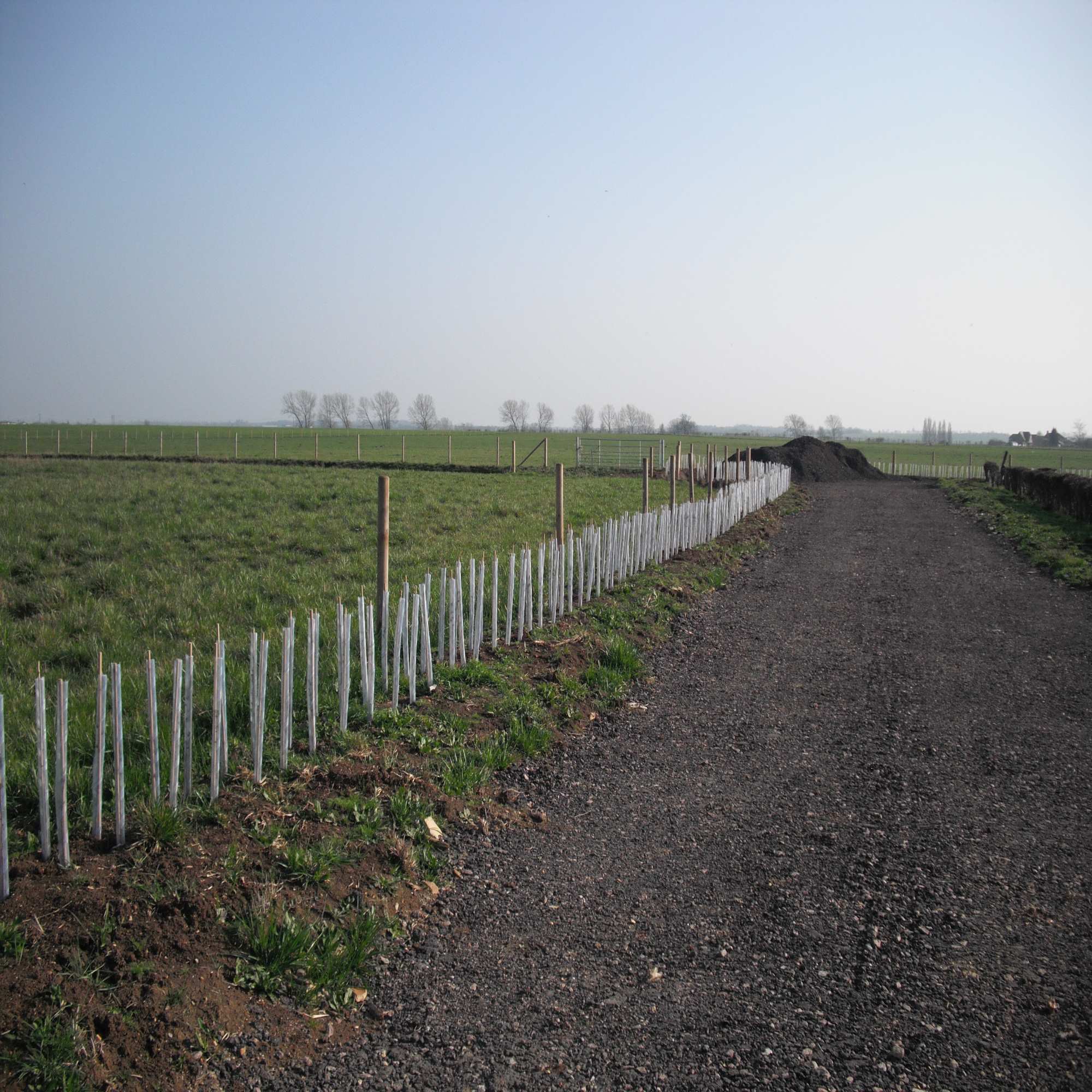 Tree Protection & Shelters