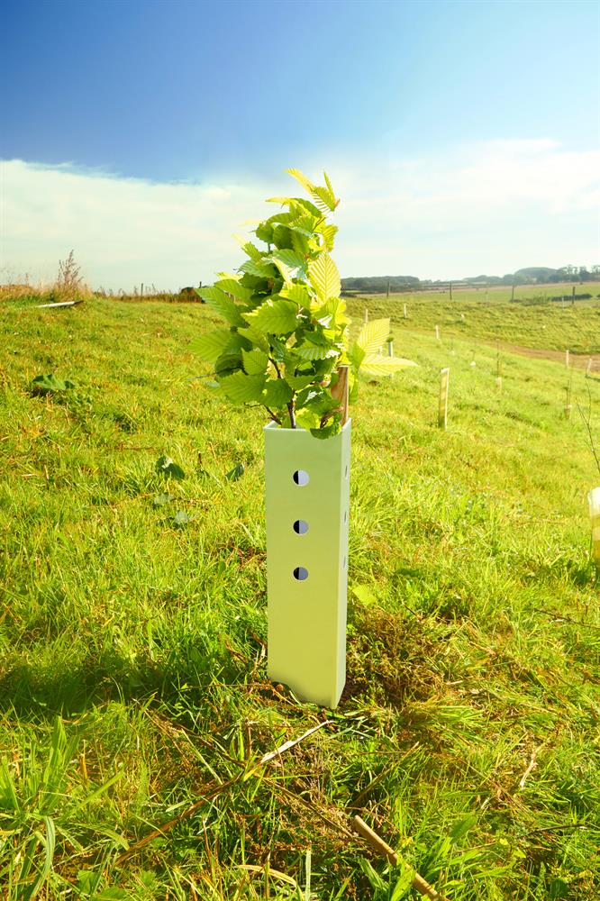 BioEarth Biodegradable PlasticFree Shrub Shelter Guard Tree