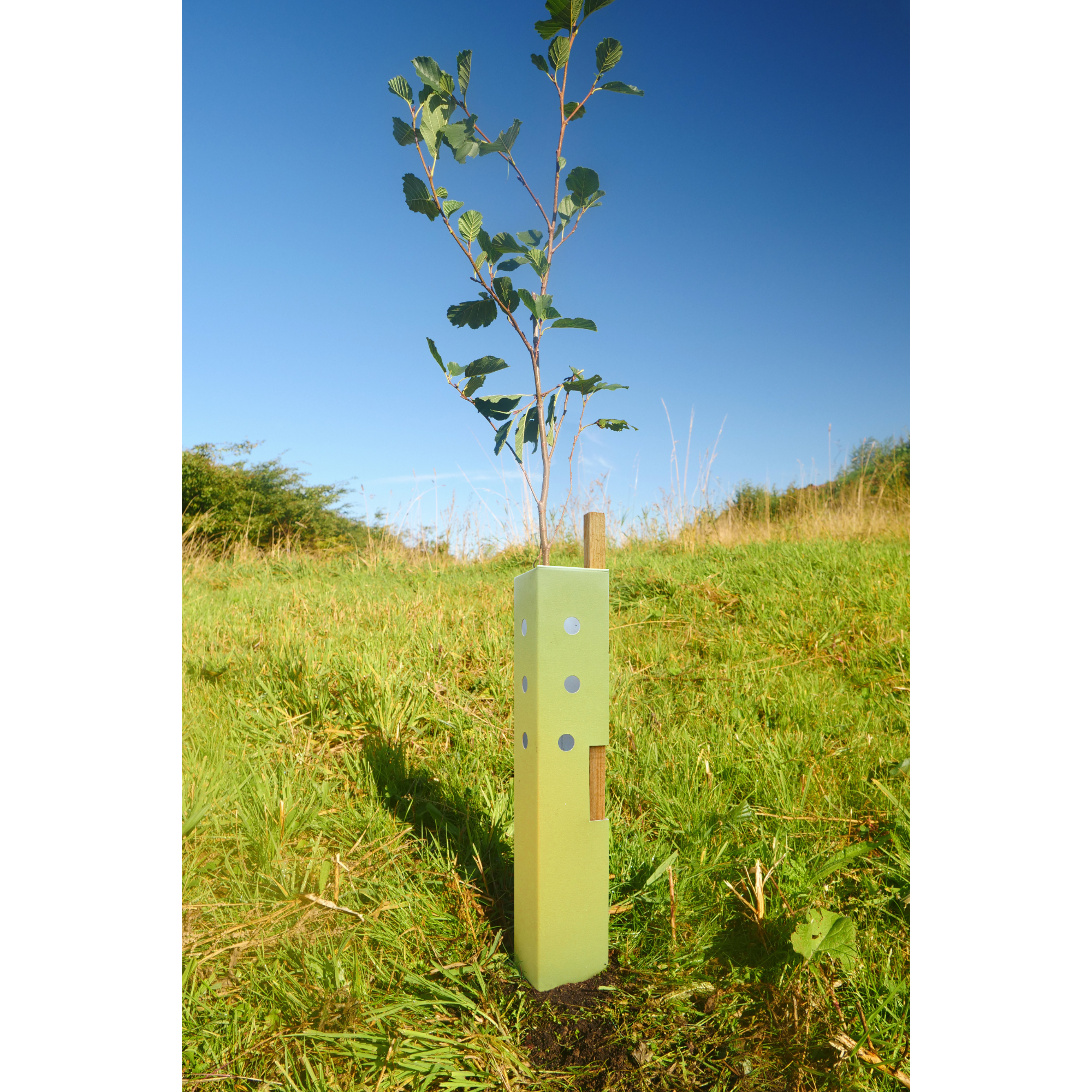 Green-tech launch an environmentally-friendly alternative to traditional plastic tree shelters - the new Earth Tree Shelter.