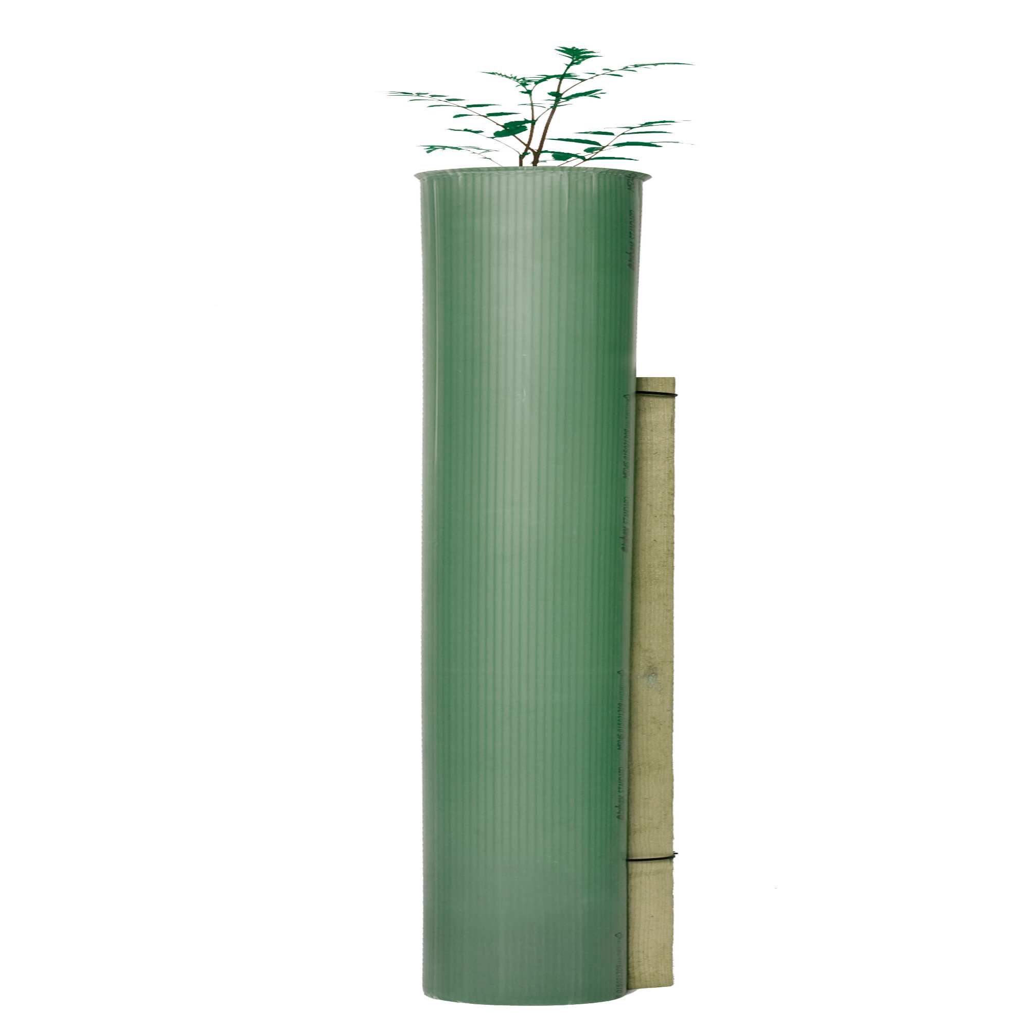 Tubex Standard Plus Tree Shelter Guard Tree & Shrub Shelters Greentech