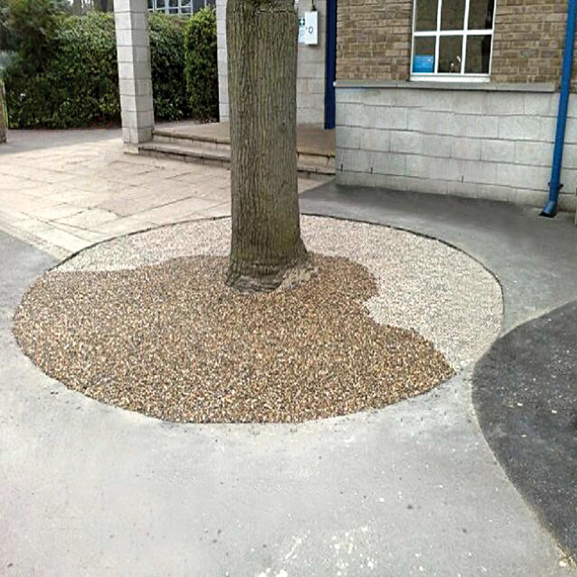 Resin Bound Tree Pits