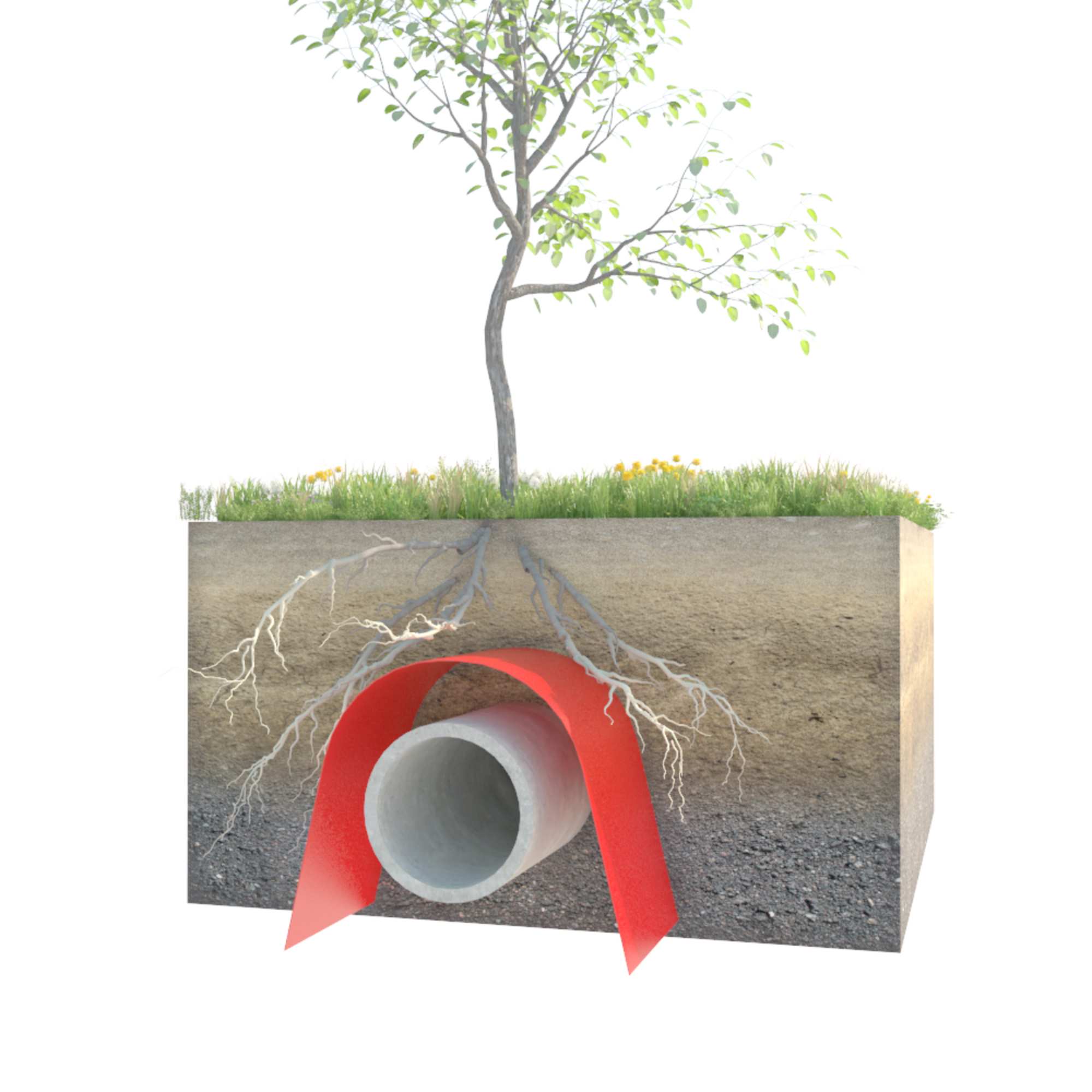 Sympathetic use of Root Barriers in tree planting 